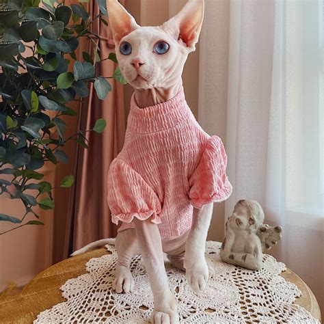 Sphynx Cat Tee Shirt Hairless Cat Clothes Summer Romper Etsy