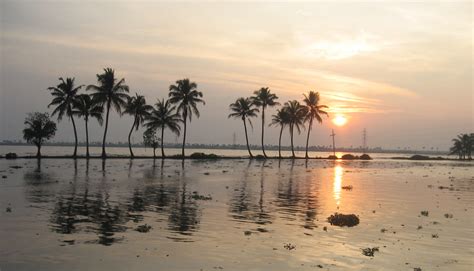 Beautiful Photos Of The Kerala Backwaters In India A