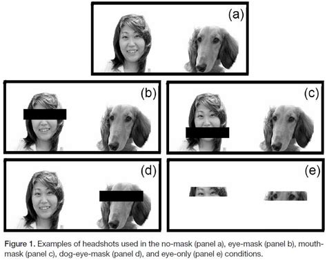 What Makes People Look Like Their Dogs Science Has The Answer