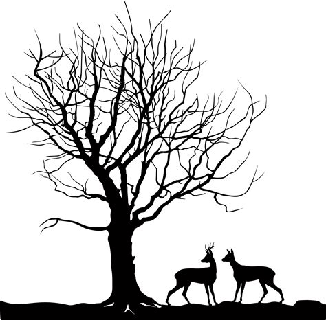 Animal Deer Over Tree Forest Landscape Wild Nature Silhouette 512270