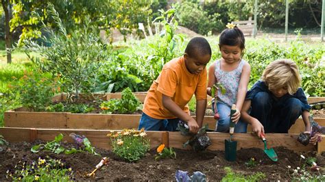 National Allotment Week Why You Should Get Your Kids Into Gardening