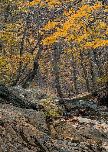 Dreary Autumn Afternoon Croydon Creek Nature Center Rockv Flickr