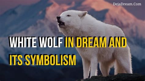 White Wolf In Dream And Its Symbolism Youtube