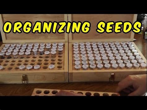 Soil seed bank, the natural storage of seeds in or on the soil of many ecosystems, which serves as a repository for subsequent generations of plants. How To Store And Organize Your Seed Collection - YouTube
