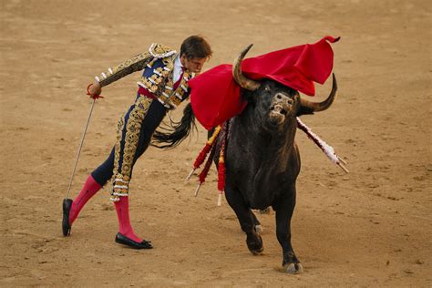AP APTOPIX Spain Bullfight