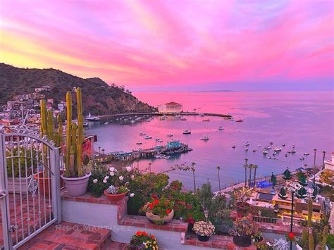 Top Events And Festivals On Catalina Island Fall 2019 Hotel Metropole