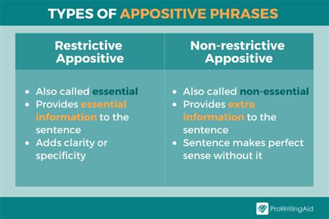 Appositive Phrases Masterclass Definition Types Examples Vlrengbr