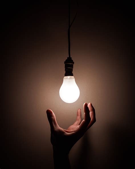 Person Holding White Light Bulb · Free Stock Photo