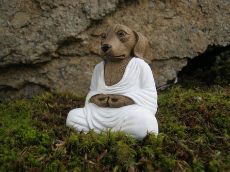 Meditating Dog Buddha Dog Buddhas Meditating Animal Zen Etsy