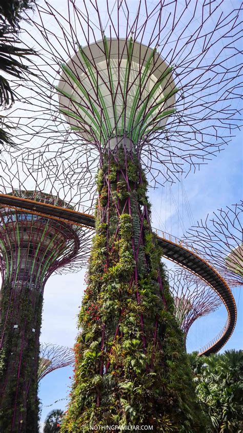 8 Gardens By The Bay Tips You Need To Know Before Visiting