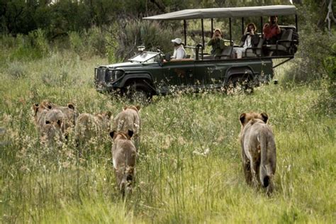 10 Of The Best Africa Photo Safari Tours In The World