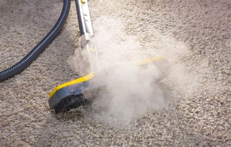 How To Kill Mold In Carpet In 10 Easy Steps Home Vacuum Zone