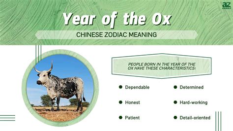 Year Of The Ox Chinese Zodiac Meaning And Years A Z Animals