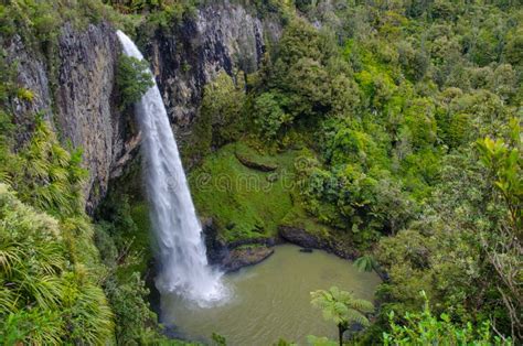 Bridal Veil Falls Waterfall In Waikato New Zealand Stock Photo Image
