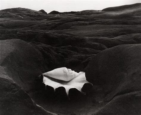 Edward Weston 1931 Shell And Rocks Arrangement Modern Photography