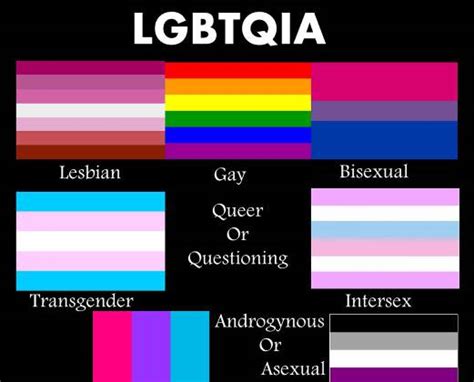 List of 8 lgbtqia definitions. Gay People Are Confusing Me With All These Multi-Sexual ...