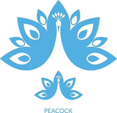 Peacock Peahen Silhouettes Illustrations Royalty Free Vector Graphics