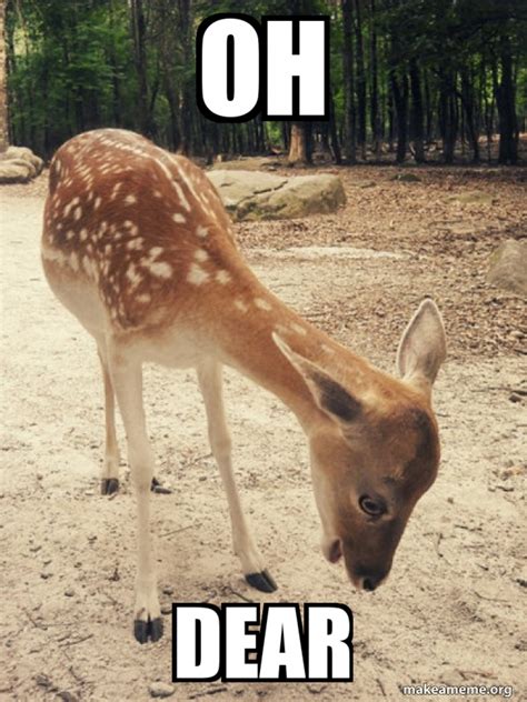 Oh Dear O M G Deer Meme Generator