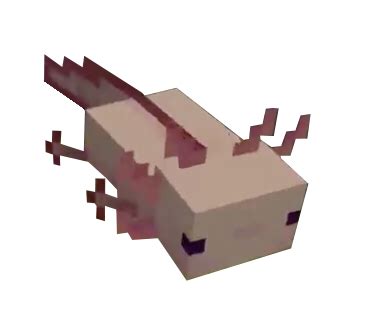 Sticker text axolotl, axolotl, cartoon, fictional character png. minecraft axolotl on Tumblr
