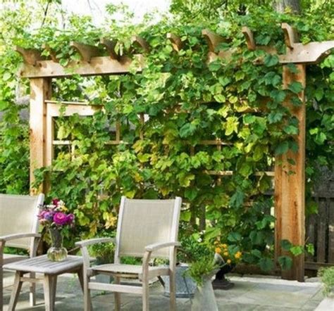 A sunny spot with good air flow is the best place. Simple Grape Arbor Plans - WoodWorking Projects & Plans