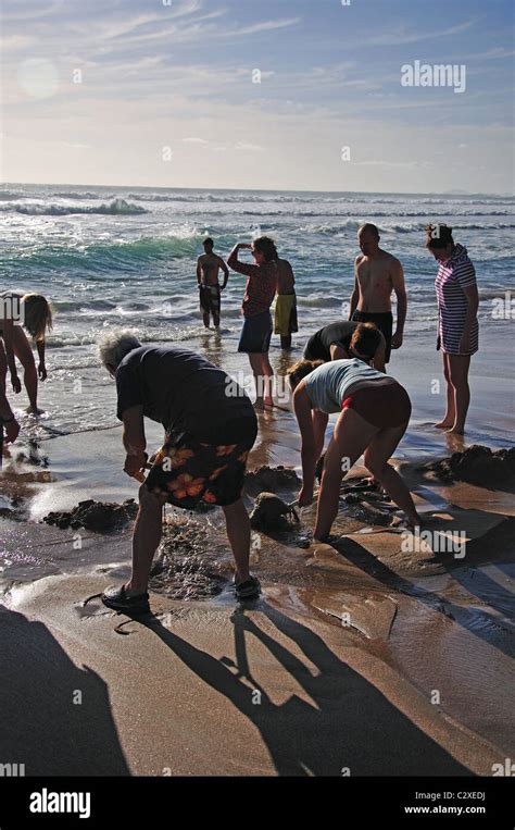 Tourists Digging Hole In Sand For Hot Water Hot Water Beach Mercury
