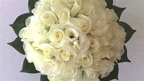 I fiori bianchi sono simbolo di innocenza, esprimono un apprezzamento sincero, apertura mentale e non è un caso che i fiori bianchi siano i preferiti per i bouquet della sposa, decorare le chiese. Fiori bianchi per te - (v2) adamo base karaoke