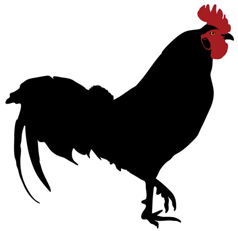 Rooster Silhouette Chicken Clip Art Rooster Png Download 10521024