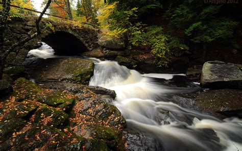 Nature Landscape Waterfall Water Stream Rocks Leaves Timelapse
