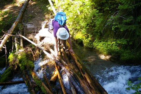 West Fork Falls Hike Hiking In Portland Oregon And Washington