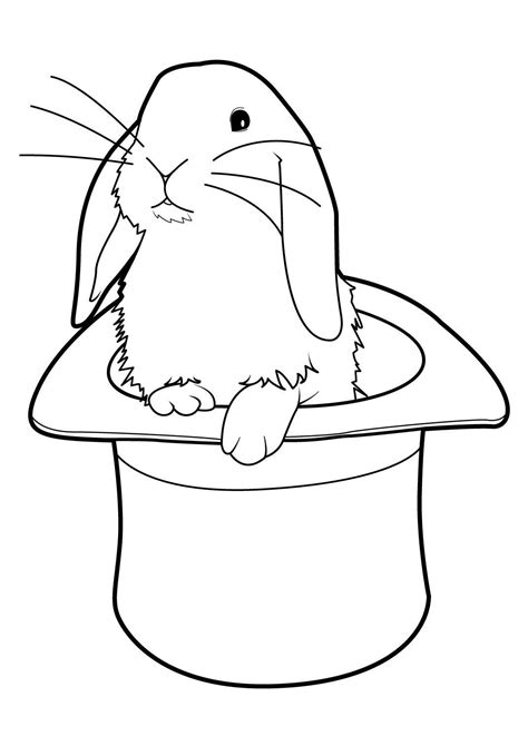 Lapin 2 Coloriages Animaux Lapins