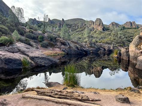 Pinnacles National Park Everything You Need To Know To Visit No Back