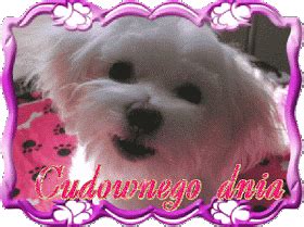 Animated gif about gif in drinks by adri. Wiersze,Gify Na Dzień Dobry ...: Gify Cudownego dnia in ...