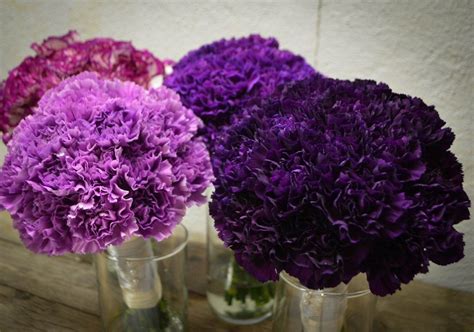 If you're thinking about planning a family vacation to sioux falls, south dakota, make sure you leave time to fully explore sertoma park, home to the outdoor campus as well as the. Bridal Bouquets | Sioux Falls Wedding Flowers & Event ...