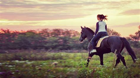 | hey ya'll welcome back! Is Horse Riding Cruel? Is It Vegan?