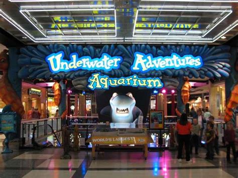 Review Of Underwater Adventures Aquarium Sea Life Minnesota