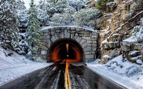 Winter Road Trees Tunnel Snow Wallpapers Hd Desktop