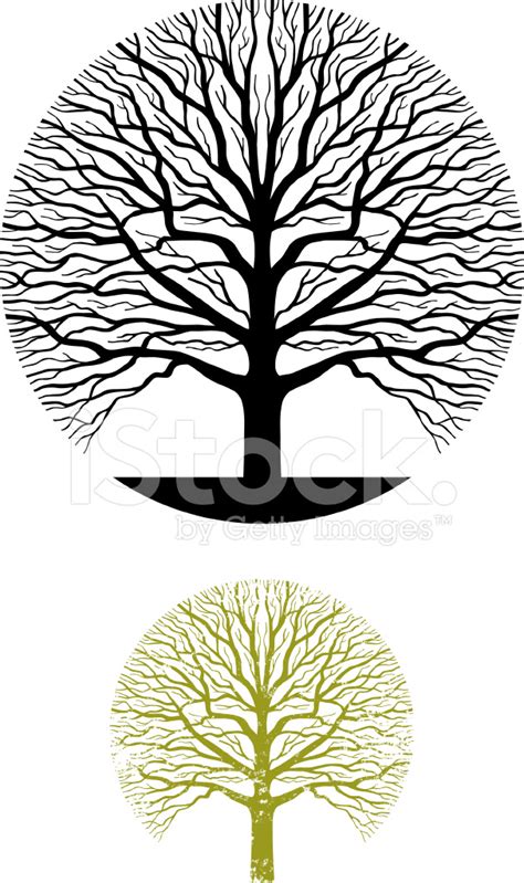 Oak Tree Symbol Illustration Stock Photo Royalty Free Freeimages