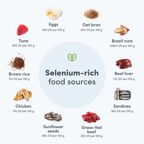 Selenium Benefits: Everything You Need to Know | Fullscript