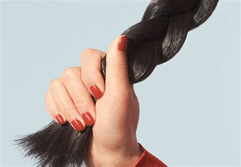 Signs Of Damaged Hair Follicles Repair Damaged Hair Follicles