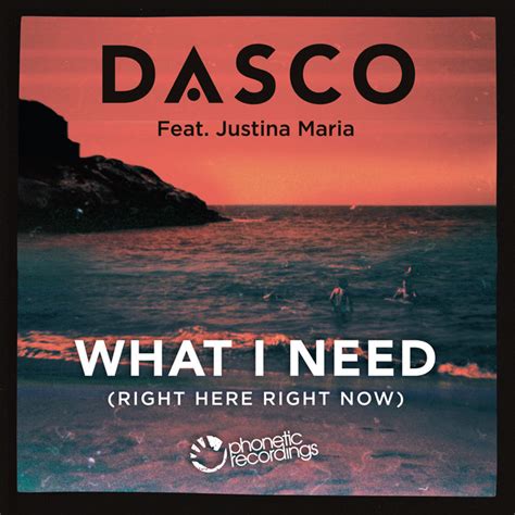 What I Need Right Here Right Now Shoko Remix Song By Dasco