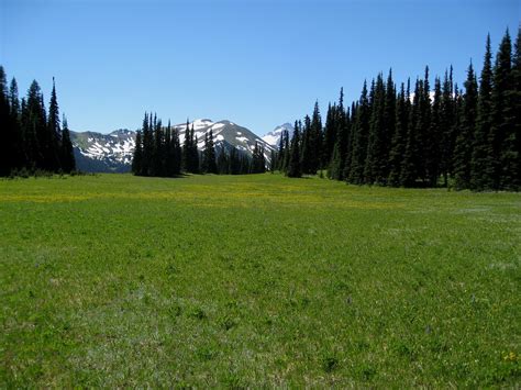 Alpine Meadow Grand Park Note There Are Very Few Castill Flickr