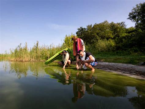 Blaualgen, cyanobakteri|en, cyanophyta, cyanophyceae, prokariontische (bakterienähnliche) blaualgen besitzen weder einen echten kern noch andere zellorganellen (chloroplasten. Blaualgen vor dem Baden erkennen - BUND e.V.
