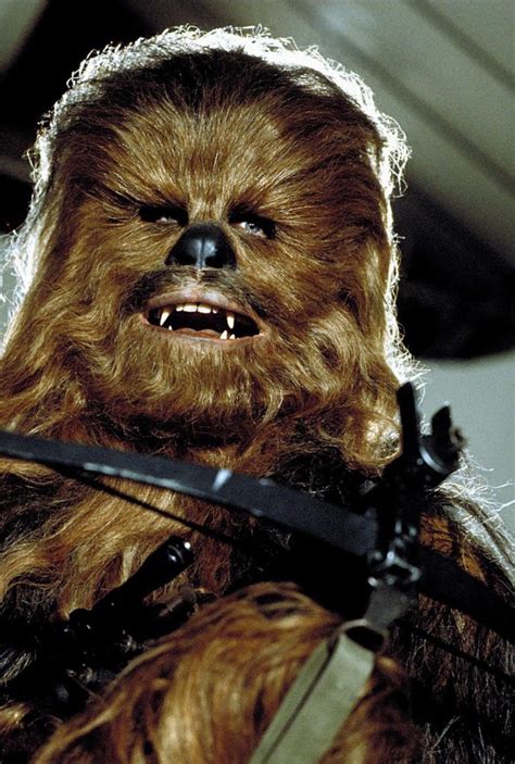 Chewbacca Care Worker Accused Of Sex Attacks On Two Teenage Girls At