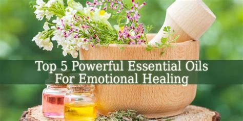 Top 5 Essential Oils For Emotional Healing Spiritual Growth Guide
