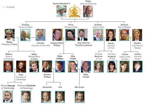 Royal ancestry and family trees of the british monarchy, including the house of tudor, the house of stuart and hannover, and the house of windsor. Royal Family tree - BBC News