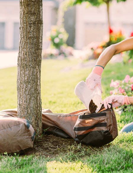 Grow bags take away the guesswork of watering your plants. Halo Grow Bag - Donut Shaped Cloth Planter | Gardener's ...