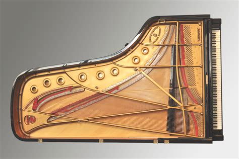 Daniel Barenboims Bespoke Piano Is An Absolute Stunner Heres Why