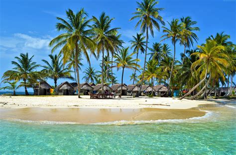 Download Palm Tree Hut Maldives Sea Ocean Island Tropical Man Made
