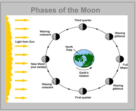 First Quarter Moon Phase Diagram Happiness