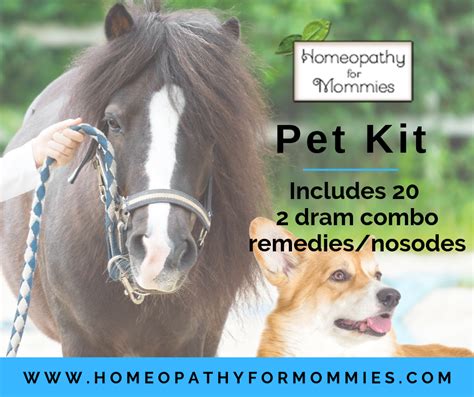 Homeopathy For Animals Homeopathy For Mommies